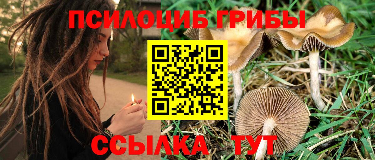 Псилоцибиновые грибы мухоморы  Вход с VPN  Хасавюрт 