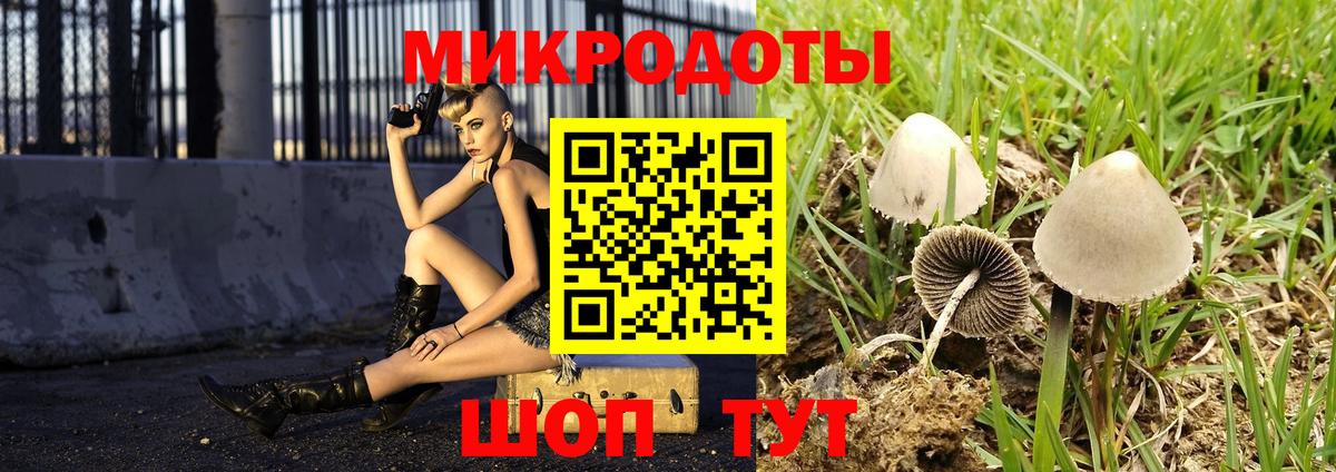Галлюциногенные грибы прущие грибы Хасавюрт